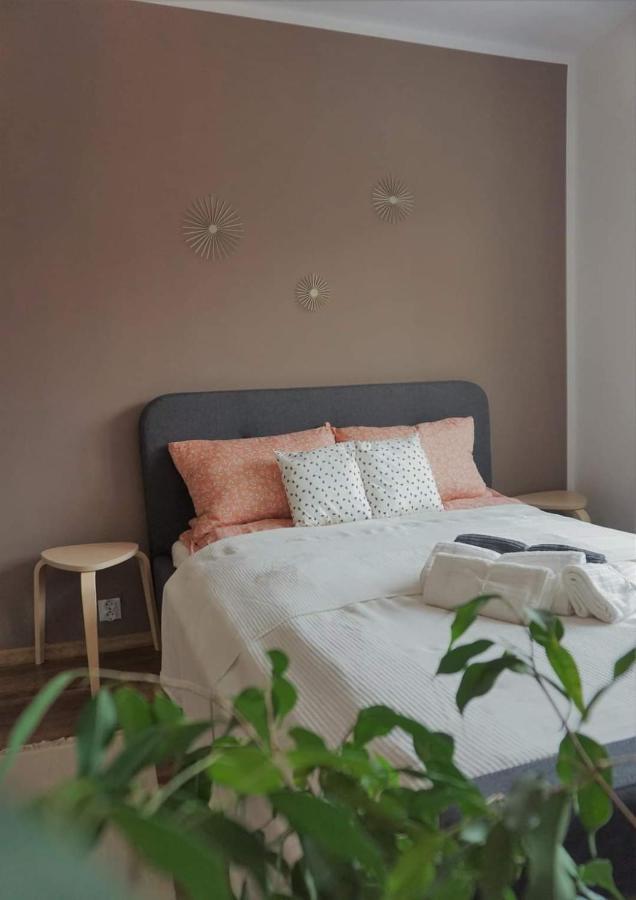 Cozy Apart Toplita Eksteriør bilde